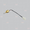 Sonde Immergée