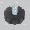 Pied