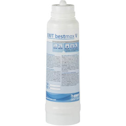 BWT Bestmax V