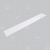Carter Transparent