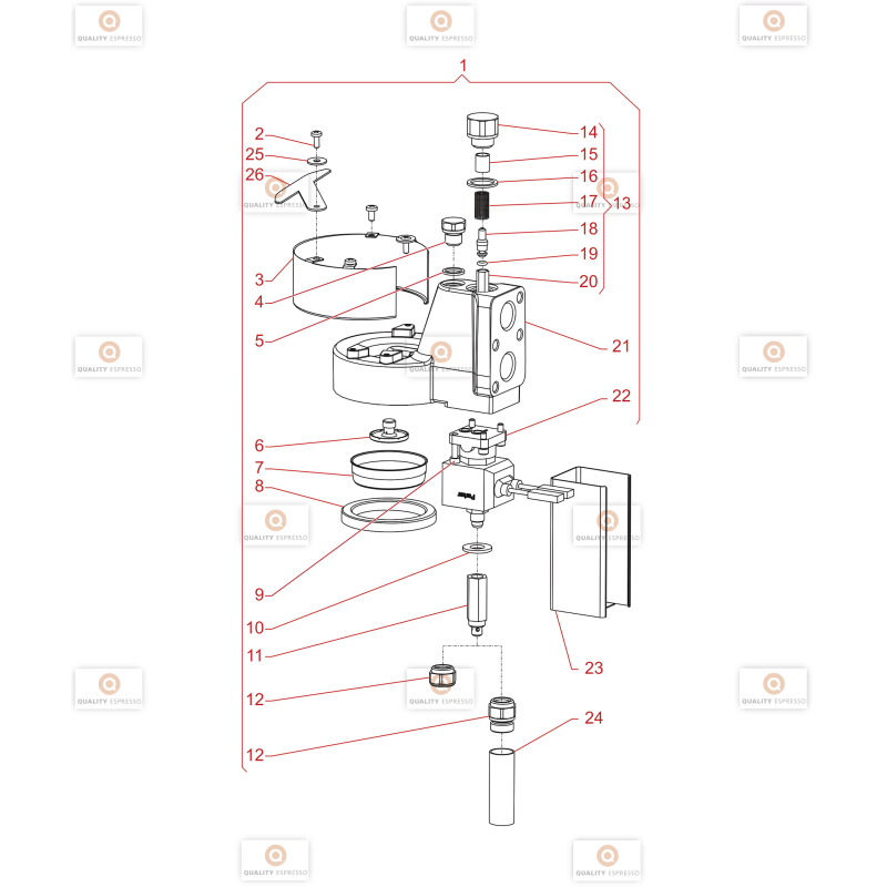 Contrôle Groupe Gaggia La Nera