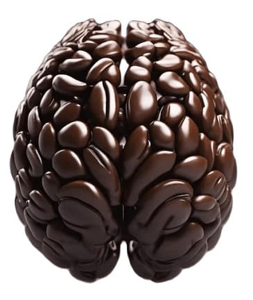 Analyse des effets du café sur la concentration, la mémoire et les performances cognitives.